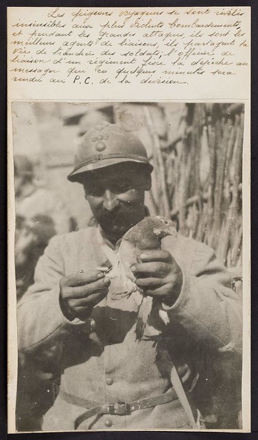 1A1182101_283348III029