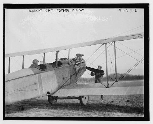 Mascot cat "Spark Plug" [on plane] (LOC)