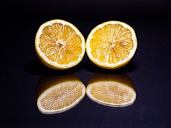 Zitrone -- 2025 -- 7294