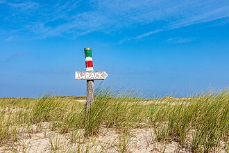 Norderney, Dünenlandschaft, Wegweiser -- 2025 -- 9437