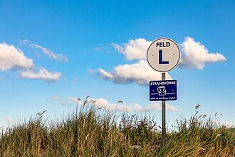 Norderney, Promenade, Feld L -- 2025 -- 9016