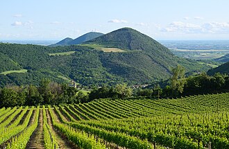 Parco Regionale dei Colli Euganei 2