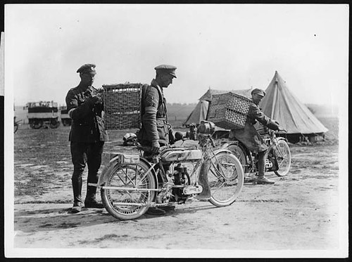 How the birds are sent up the line