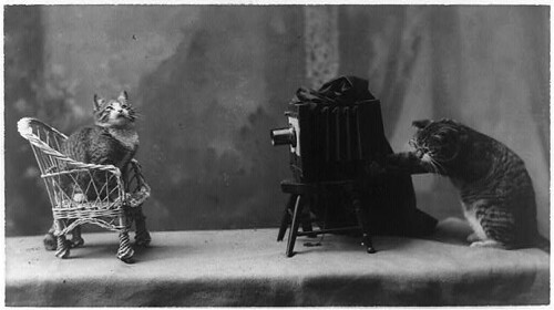 In the Rogue's Gallery (LOC)