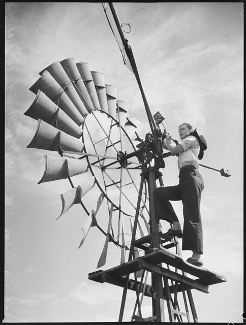 Linda Malden "Spring Ridge" station, 24 January 1944 / photographed by N. Herfort