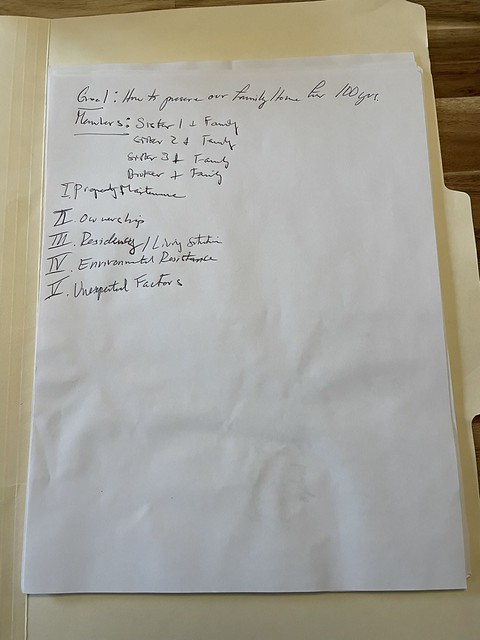 100-year plan sketches