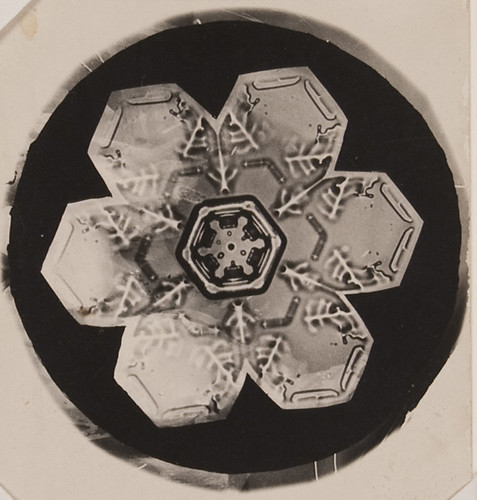 Untitled (Snowflake)