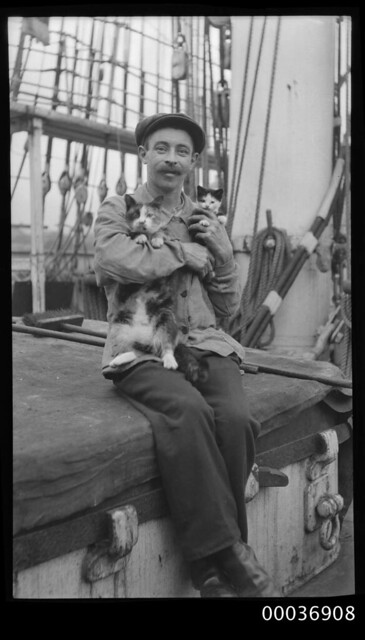Seaman with a cat and kitten, c 1910